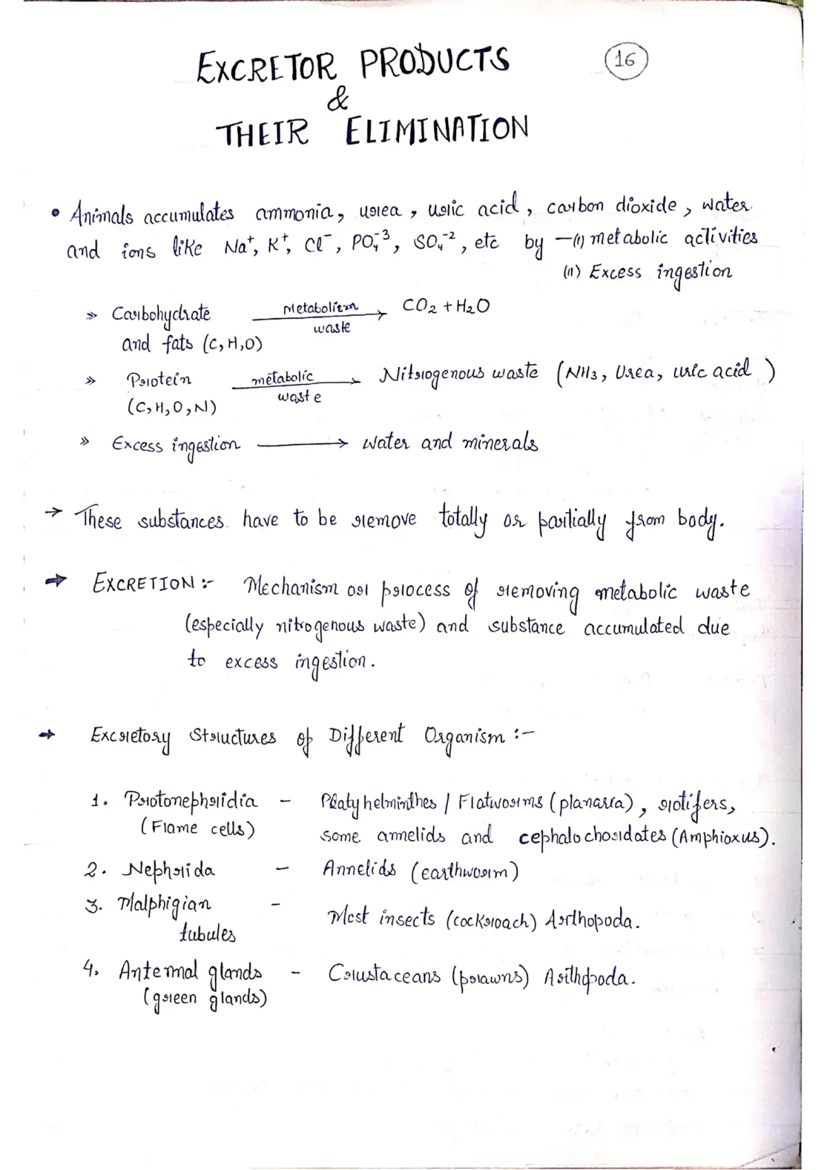 Class 11 Biology Notes PDF Download 2025-2026 (Topper's Handwritten Notes) - Image 4