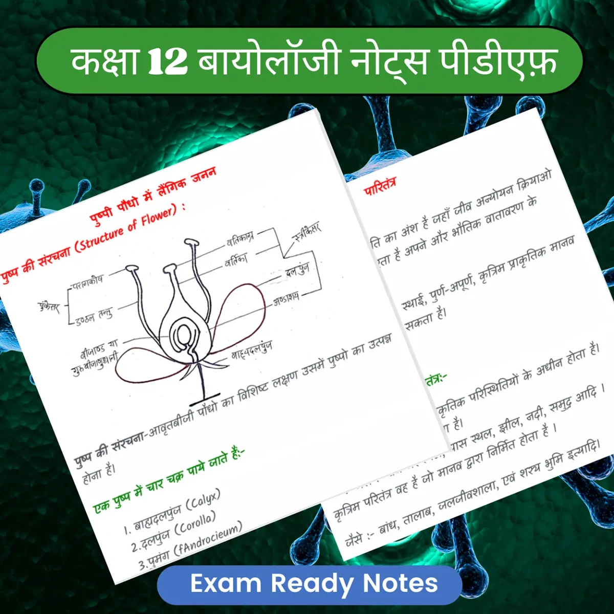 biology notes in hindi
